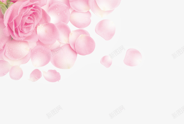 花装饰淘宝花朵粉色psd免抠素材_新图网 https://ixintu.com 花装饰淘宝素材花朵粉色