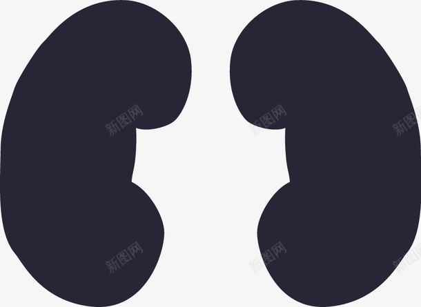 泌尿系统图标png_新图网 https://ixintu.com 泌尿系统
