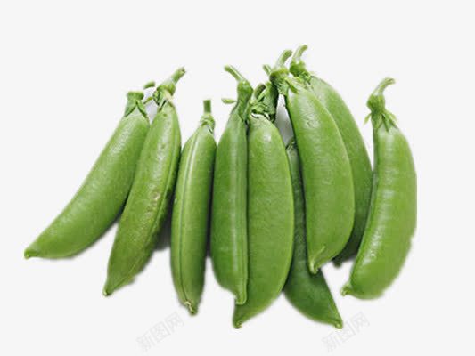 美味荷兰豆png免抠素材_新图网 https://ixintu.com 植物 绿色 蔬果 蔬菜 食物