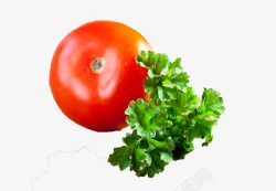 有机蔬菜西红柿素材