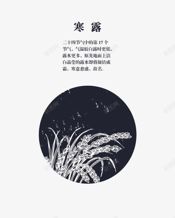 寒露24节气png免抠素材_新图网 https://ixintu.com 24节气 PSD免抠 免抠大图 寒露 稻花 高清免抠