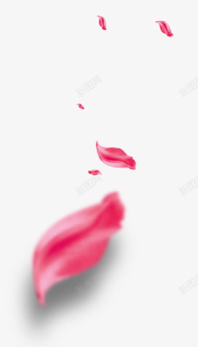 时尚简约花瓣背景装饰png免抠素材_新图网 https://ixintu.com 唯美 时尚 简约 花瓣 装饰