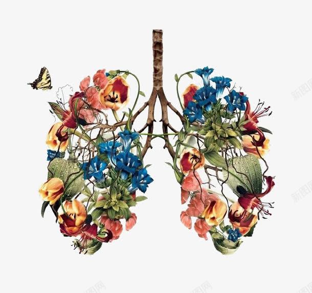 com 健康 卡通鲜花 呼吸 器官 肺部 肺部创意