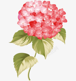 清新唯美水彩粉色花朵素材