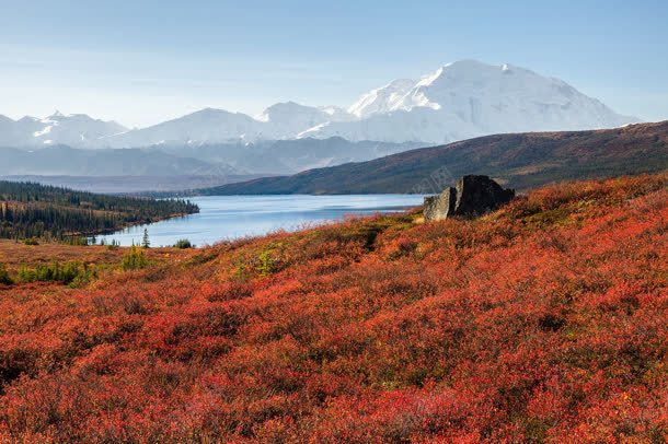 红色的花海与山与水jpg设计背景_新图网 https://ixintu.com 红色 花海