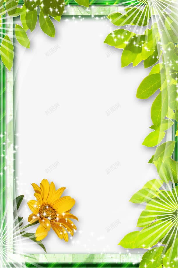 夏日清新植物边框png免抠素材_新图网 https://ixintu.com 夏日 植物 立体效果 绿色清新 边框