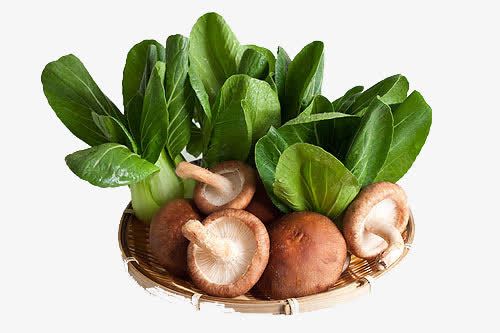 青菜香菇psd免抠素材_新图网 https://ixintu.com 膳食食物 菌菇类 营养食物 青菜