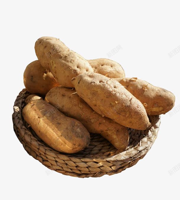多个黄色的番薯png免抠素材_新图网 https://ixintu.com 农作物 多个 番薯 食物 黄色的
