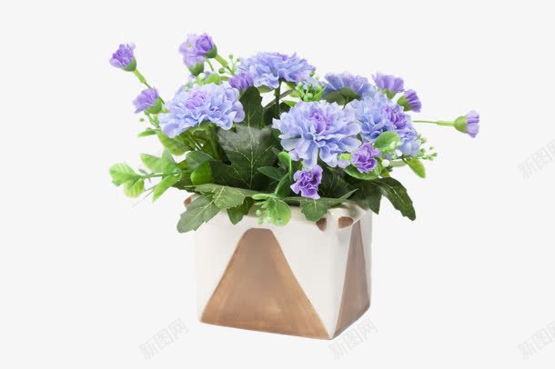 紫色康乃馨桌花png免抠素材_新图网 https://ixintu.com 康乃馨 桌花 植物 紫色花 艺术 花卉 花艺 装饰