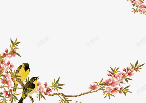 两只黄鹂鸣翠柳png免抠素材_新图网 https://ixintu.com 两只 鸣翠柳 黄鹂