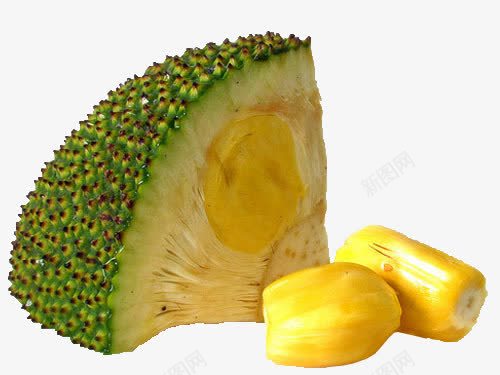 菠萝蜜png免抠素材_新图网 https://ixintu.com 半个菠萝蜜 水果 食物 黄色