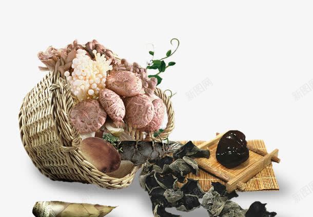 中国风菜篮子香菇竹简黑木耳笋药psd免抠素材_新图网 https://ixintu.com 棣欒弴 榛戞湪鑰 涓 绔圭畝 绗 鑽 鑿滅