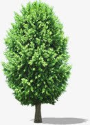 绿色春天树木景观png免抠素材_新图网 https://ixintu.com 春天 景观 树木 绿色