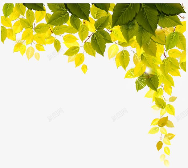 绿色清新树叶装饰边框纹理png免抠素材_新图网 https://ixintu.com 免抠PNG 树叶 清新 绿色 装饰 边框纹理