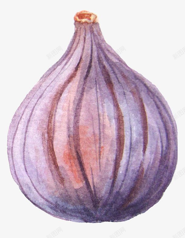 水彩画叶子png免抠素材_新图网 https://ixintu.com 唯美 小清新 手绘 水彩画 洋葱