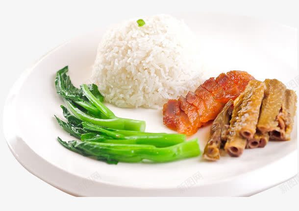 卤烧双拼饭png免抠素材_新图网 https://ixintu.com 卤烧双拼饭 美味 美食 餐饮 饮食