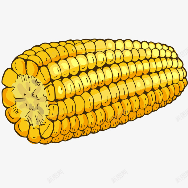 半个玉米插画矢量图ai免抠素材_新图网 https://ixintu.com 丰收 健康食品 免抠PNG 农业 半个玉米矢量插画 卡通玉米 玉米 矢量图