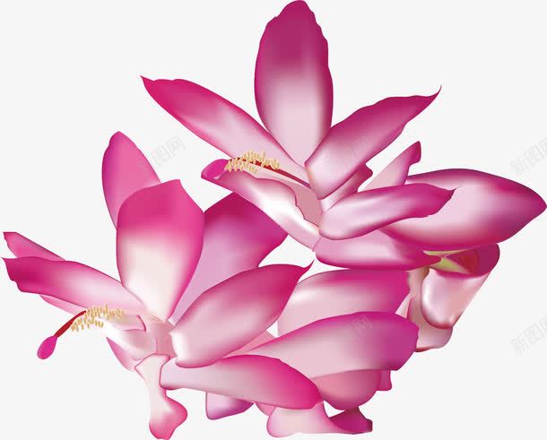 花花朵花纹淘宝花絮png免抠素材_新图网 https://ixintu.com 花花朵花纹淘宝素材花絮