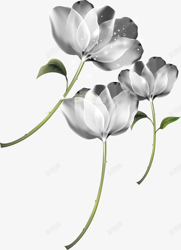 梦幻唯美灰色花朵png免抠素材_新图网 https://ixintu.com 唯美花朵 梦幻花朵 灰色花朵 灰色花瓣 绿色叶子 绿色枝条