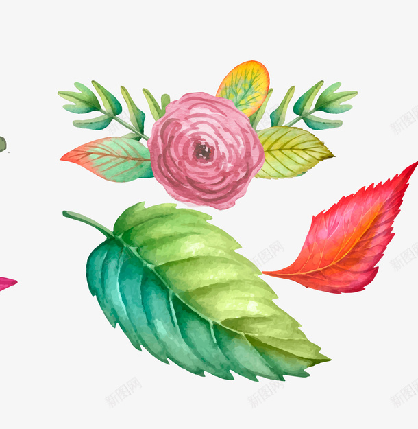 水彩插画矢量图eps免抠素材_新图网 https://ixintu.com 叶子 手绘树叶 手绘花卉 水彩插画免费下载 花朵 花草 矢量图