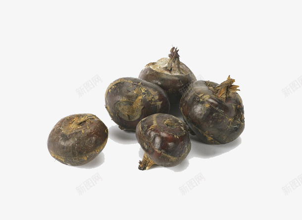 新鲜荸荠png免抠素材_新图网 https://ixintu.com 出土 水果 生津止渴 花朵 荸荠 荸荠花瓣 蔬菜 马蹄 马蹄子