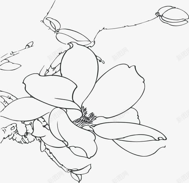 中秋节黑色线条花纹png免抠素材_新图网 https://ixintu.com 中秋节 图片 线条 花纹 黑色