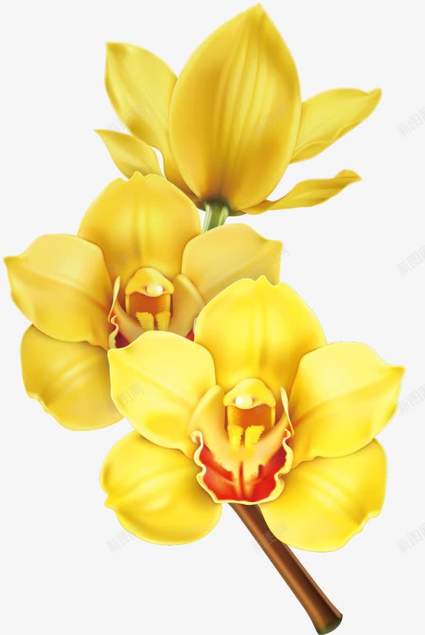花花朵淘宝花絮png免抠素材_新图网 https://ixintu.com 花花朵淘宝素材花絮矢量元素黄色 花花朵淘宝素材花絮矢量元素黄色免费下载
