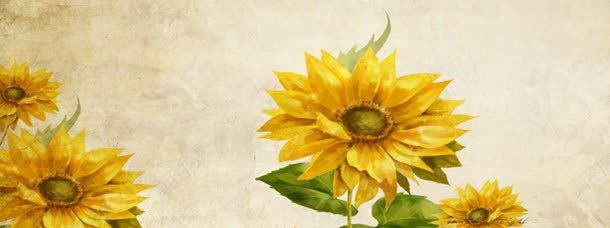 向日葵花朵海报jpg设计背景_新图网 https://ixintu.com 大自然 大自然清新 清新 渐变 渐变黄色背景 花 花朵 花朵花瓣 花瓣 高清 黄色