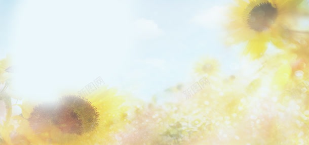 向日葵jpg设计背景_新图网 https://ixintu.com 向日葵