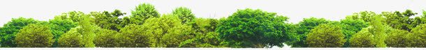 绿树树林美景田园png免抠素材_新图网 https://ixintu.com 树林 田园 绿树 美景