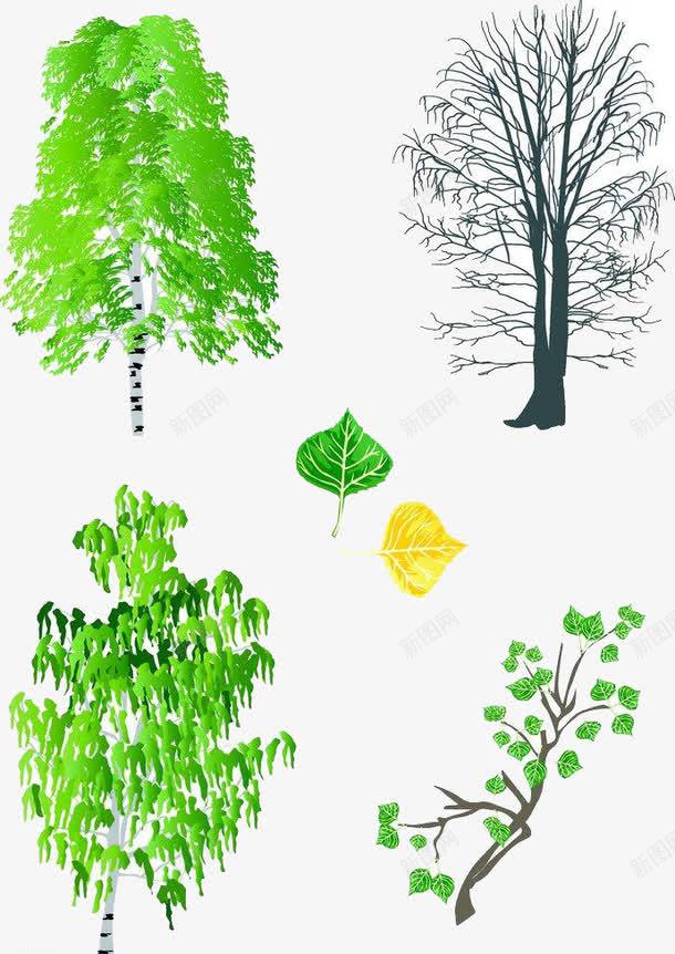 叶子和大树png免抠素材_新图网 https://ixintu.com 卡能树 叶子和大树 大树 山楂 山楂树 果树 树 树子 树林 高清免扣