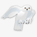 哈利波特卡通哈利波特哈利波特png免抠素材_新图网 https://ixintu.com cartoon harry harrypotter potter 卡通 哈利波特