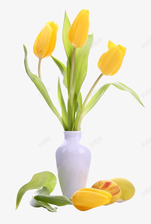 鲜花png免抠素材_新图网 https://ixintu.com 花 花朵 花瓶 花苞 装饰花朵 郁金香 黄