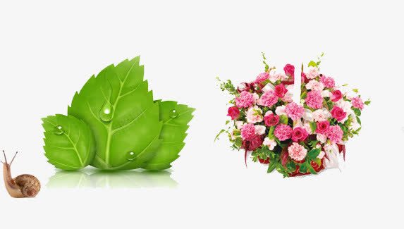 花朵绿叶蜗牛psd免抠素材_新图网 https://ixintu.com 缁垮彾 鑺辨湹 铚楃墰