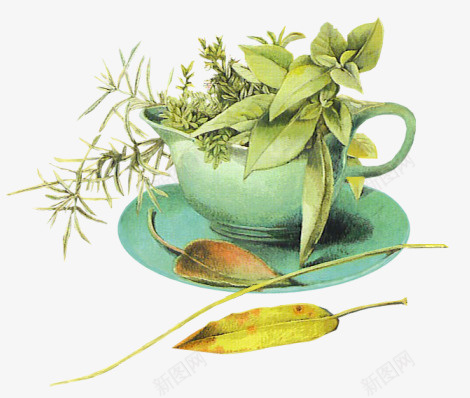 绿色树叶茶杯咖啡杯png免抠素材_新图网 https://ixintu.com 树叶 绿色 绿色树叶 茶杯