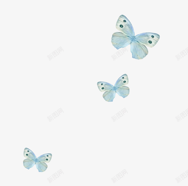 蓝色蝴蝶png免抠素材_新图网 https://ixintu.com 彩色蝴蝶 梦幻蝴蝶 漂浮蝴蝶 纸蝴蝶