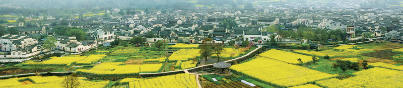 简约民宿旅游海报psd设计背景_新图网 https://ixintu.com 乡村旅游海报 住宿 入乡随俗 叶子 夏季 房子 旅行 旅行海报 民宿 简约
