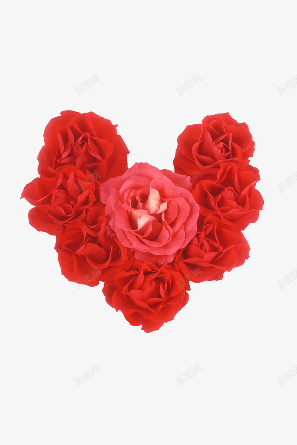 心形玫瑰花装饰png免抠素材_新图网 https://ixintu.com 心形 心形玫瑰花 玫瑰花 玫瑰花装饰