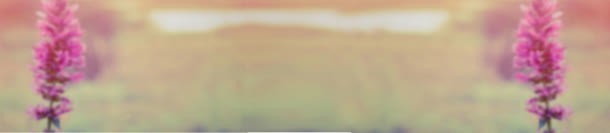 气质淘宝女包背景banner唯美jpg设计背景_新图网 https://ixintu.com banner 女包 气质 淘宝 背景