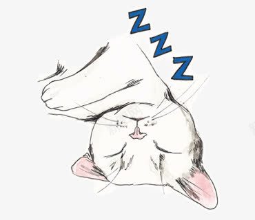 睡觉的猫png免抠素材_新图网 https://ixintu.com 可爱 手绘 白猫 睡觉