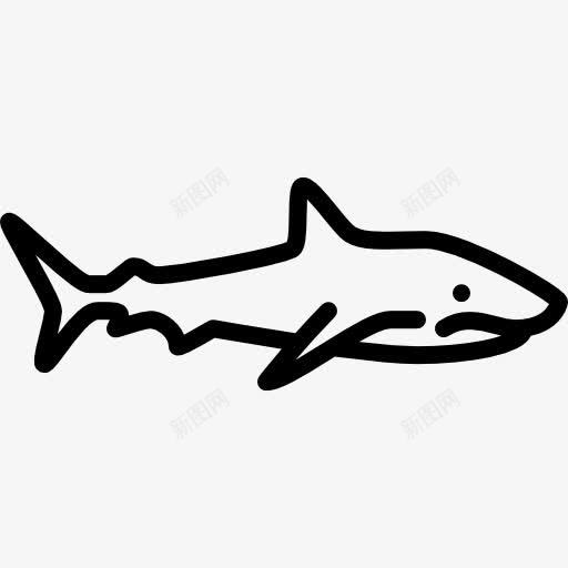 大鲨鱼图标png_新图网 https://ixintu.com 动物 危险 水族馆 水生 鱼类