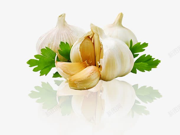 拨开的大蒜png免抠素材_新图网 https://ixintu.com 健康 卡通蔬菜 大蒜 手绘蔬菜 白色 绿色 蒜头 蔬菜
