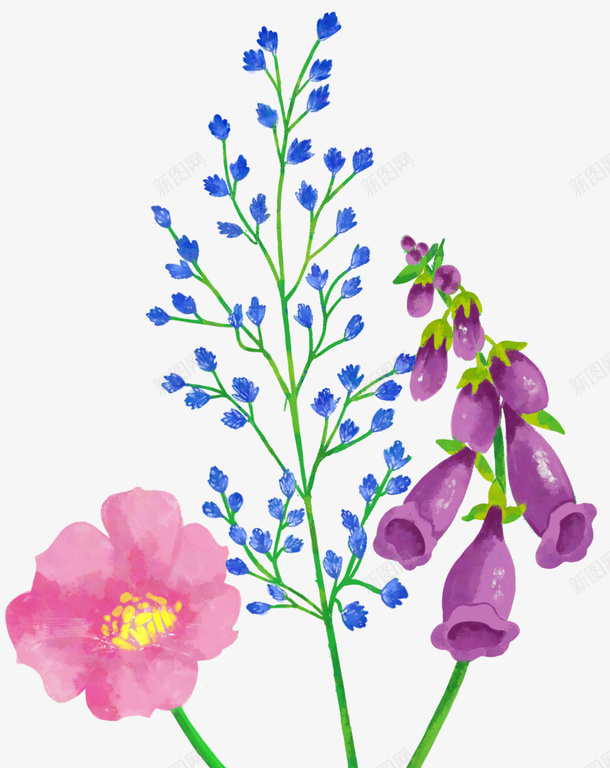 手绘装饰小清新鲜花psd免抠素材_新图网 https://ixintu.com 小清新 手绘 手绘插画 春天 花卉 蓝色小花 鲜花