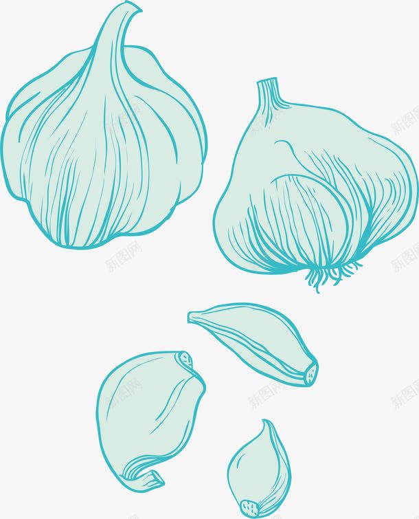 手绘大蒜png免抠素材_新图网 https://ixintu.com 农作物 果实 绿色食品 颗粒