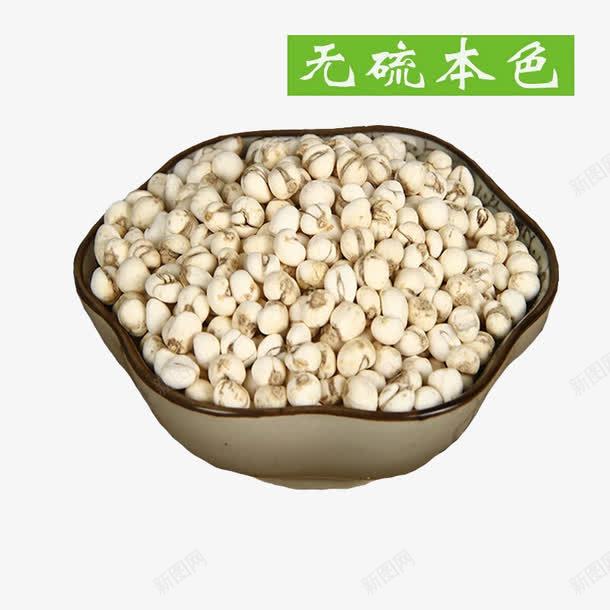 川贝母png免抠素材_新图网 https://ixintu.com 中药 川贝 无硫本色 正宗川贝母 药材