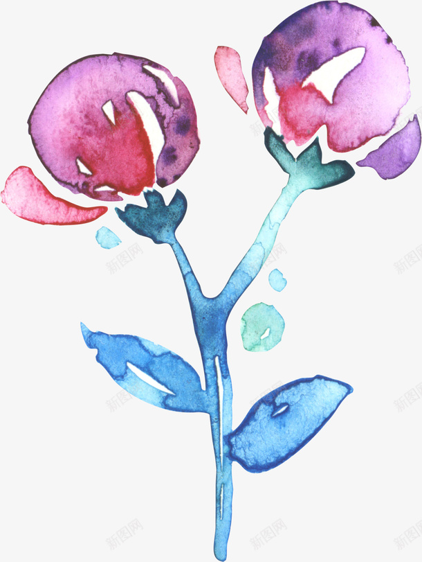 水彩两朵花png免抠素材_新图网 https://ixintu.com png图形 植物 花卉 花朵 装饰