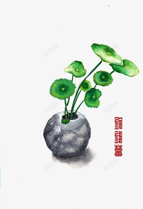 手绘铜钱草psd免抠素材_新图网 https://ixintu.com 手绘 绿色 铜钱草 黑瓦罐