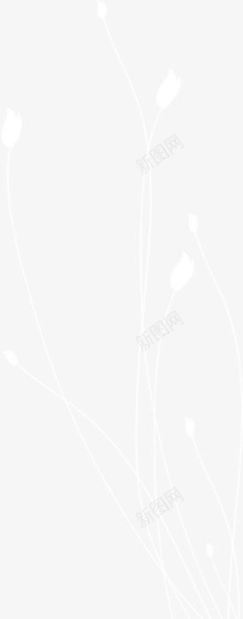 白色长线花朵背景png免抠素材_新图网 https://ixintu.com 白色 背景 花朵 长线