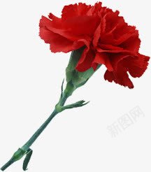 手绘红色花朵节日美景png免抠素材_新图网 https://ixintu.com 红色 美景 节日 花朵