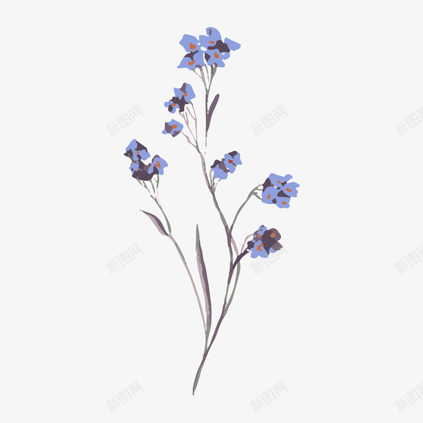 小清新水彩植物花朵插画png免抠素材_新图网 https://ixintu.com 小清新 小清新水彩植物花朵插画 插画 植物 水彩 花朵
